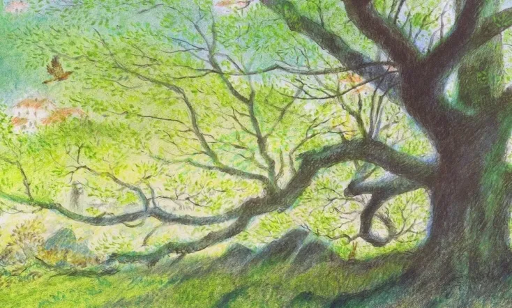 The Man Who Planted Trees