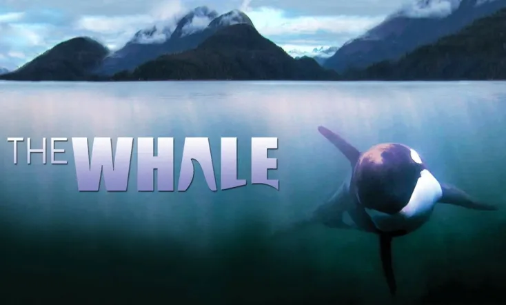 The Whale
