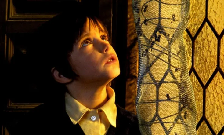 The Spirit of the Beehive