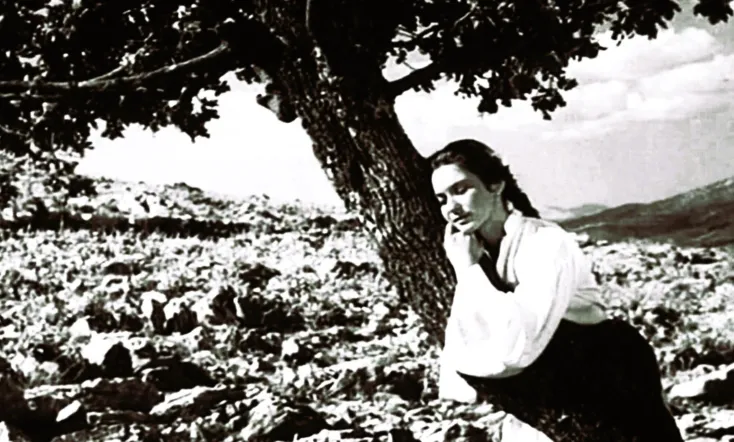 The Girl and the Oak