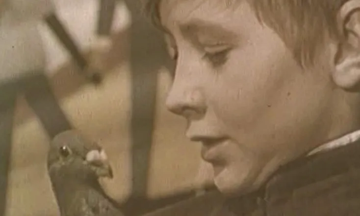 The Boy and the Pigeon