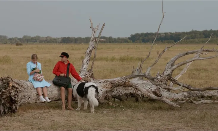 The Brave Adventures of a Little Shoemaker