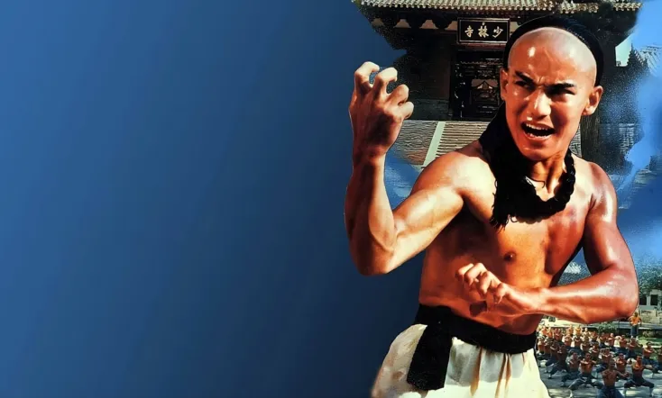 The Young Hero of Shaolin