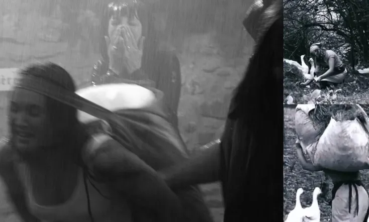 The Goose-Girl at the Well