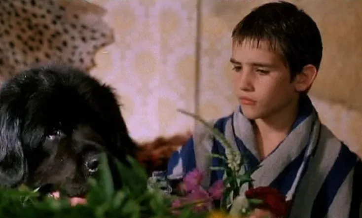 The Boy with the Big Black Dog