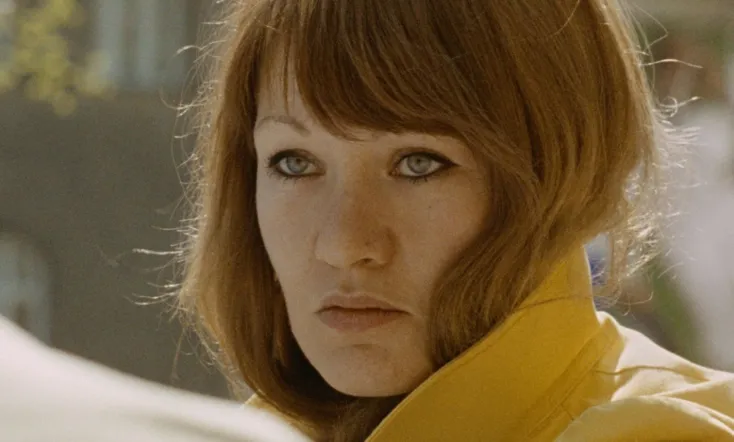 The Cat Has Nine Lives