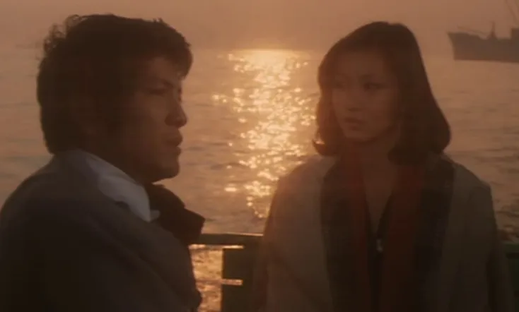 The Visitor in the Eye