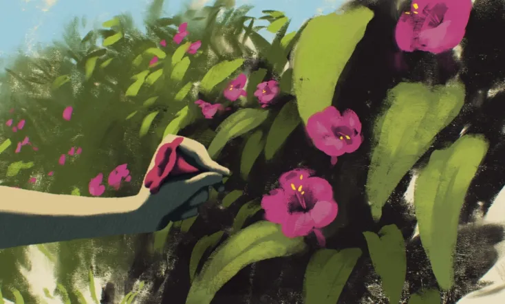 The Four O'clock Flower