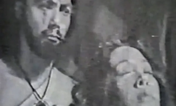 The Serpent on the Cross