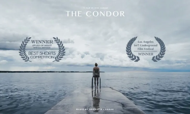 The Condor