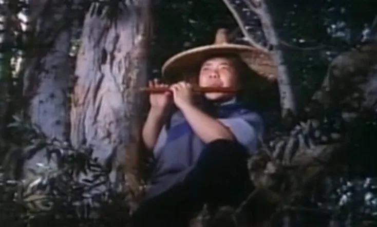 The Last Battle of Yang Chao