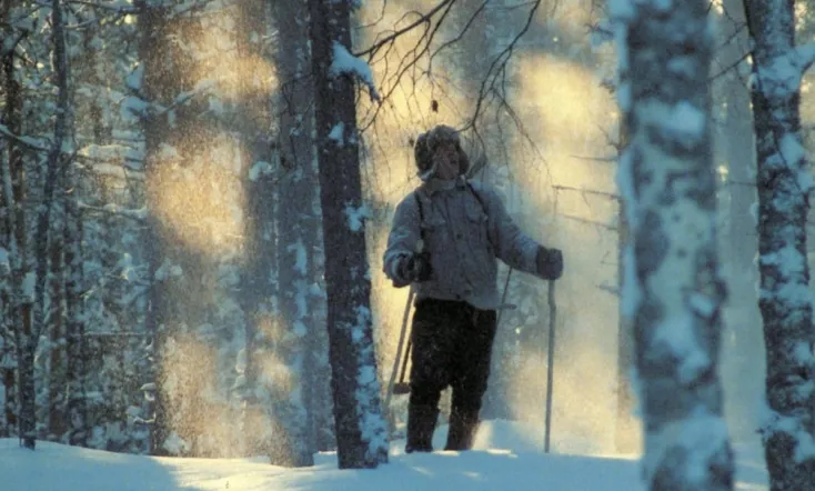 The Timbercamp Tales