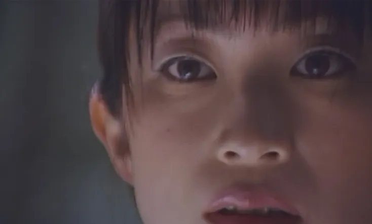 The Secret in the Attic