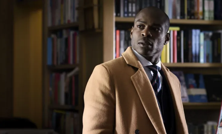 The Return of the Honey Buzzard