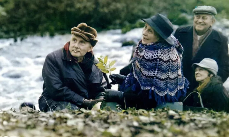 The Weather Forecast