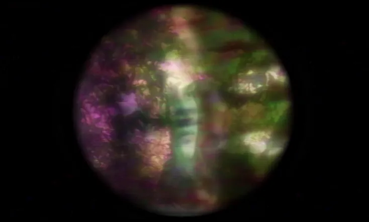 The Forgotten Colours of Dreams