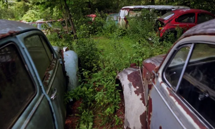 The Bug: Life and Times of the People's Car