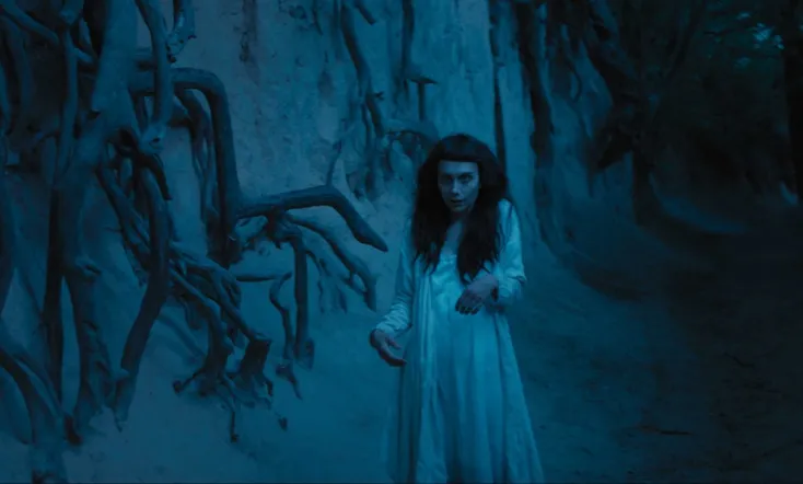 The Field Guide to Evil