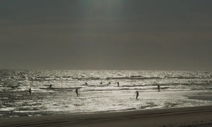 The Sea Stares at Us from Afar