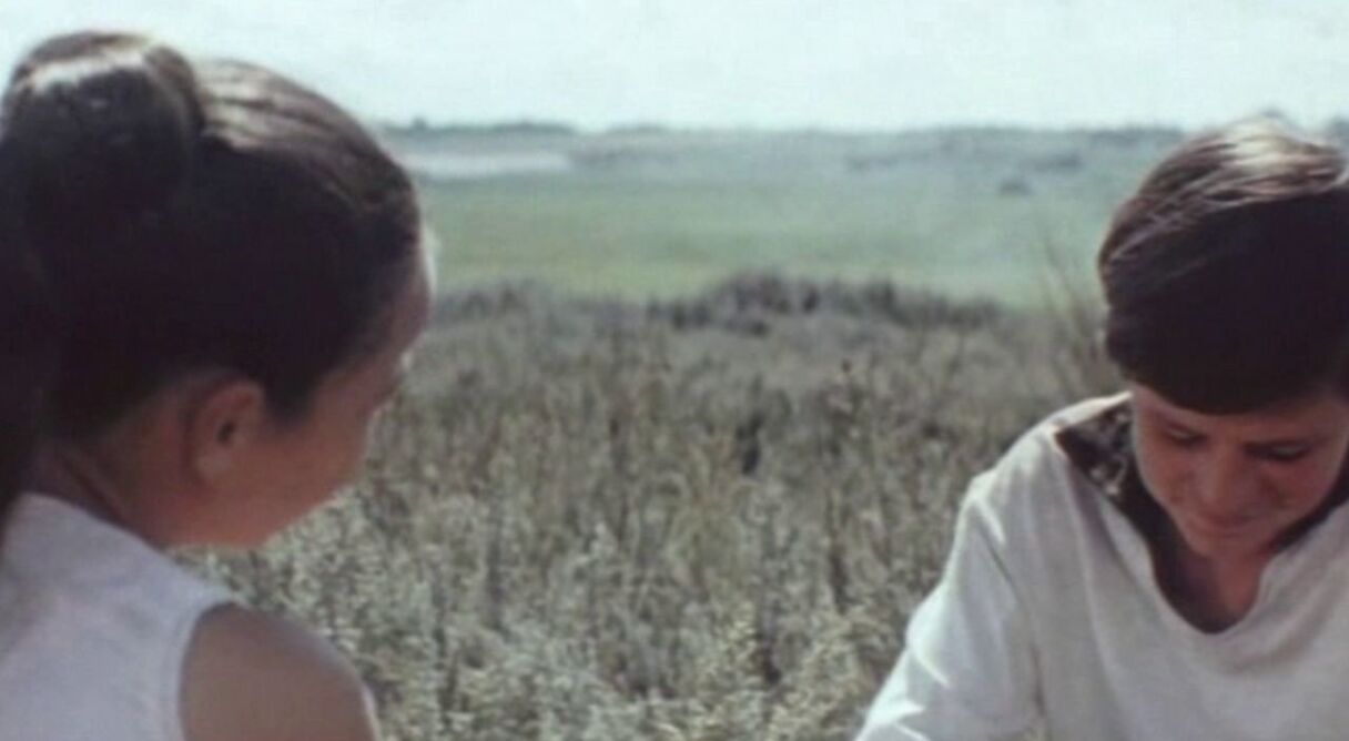 The Fifteenth Spring