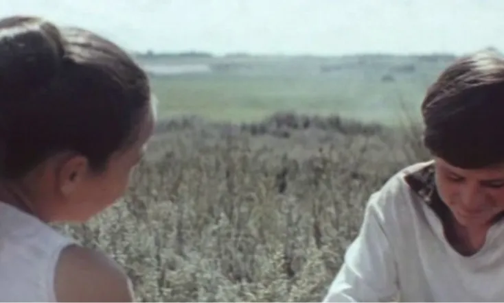 The Fifteenth Spring