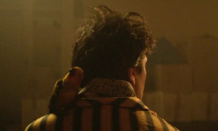 The Starry Sky Above Me