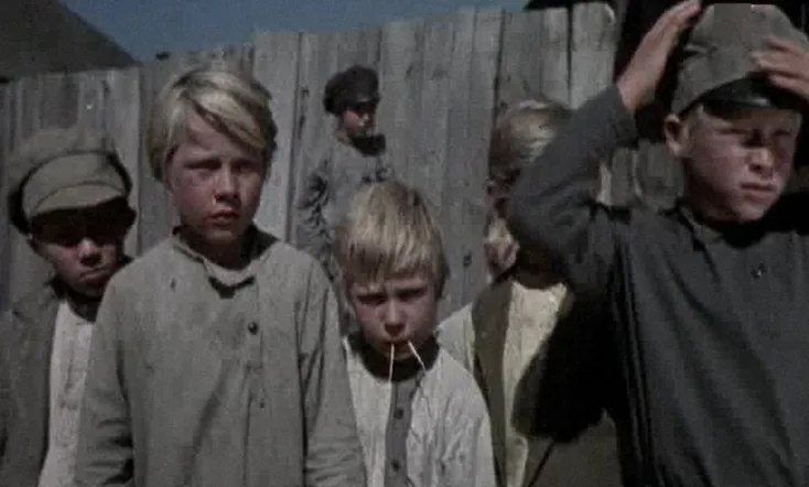 The Secret of the Green Forest