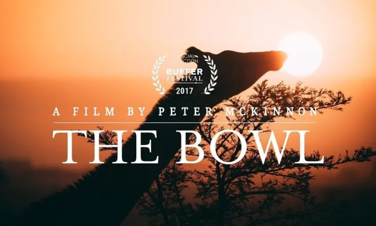 The Bowl