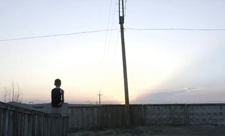 The Distant Barking of Dogs