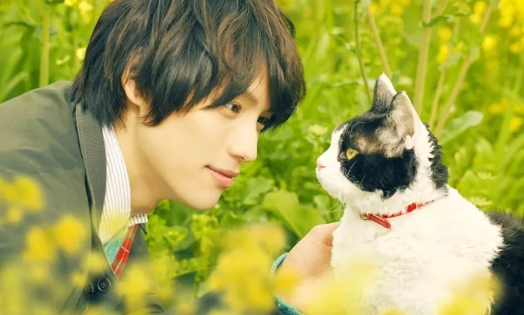 The Travelling Cat Chronicles