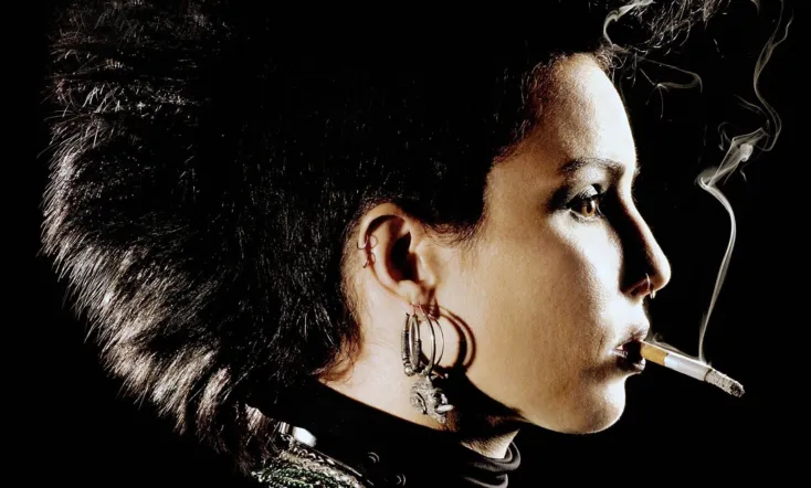 The Girl Who Kicked the Hornet's Nest