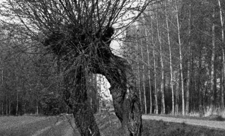 The Sadness Will Not Last Forever