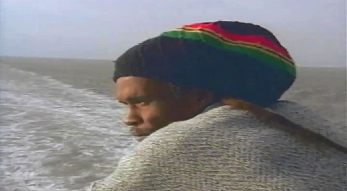 The Journey of the Lion