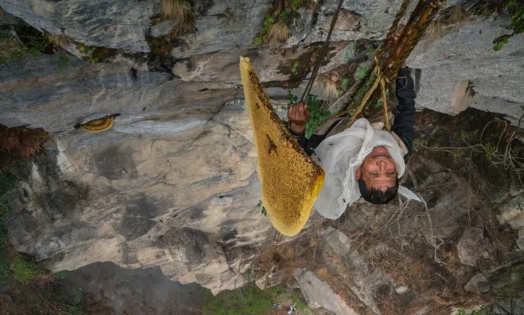 The Last Honey Hunter