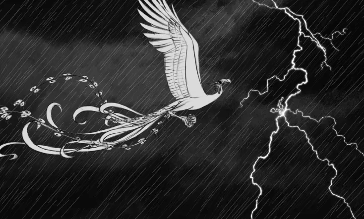 The Hidden Treasures of Michel Ocelot