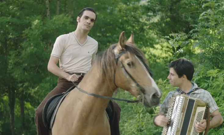 The Accordionist's Son