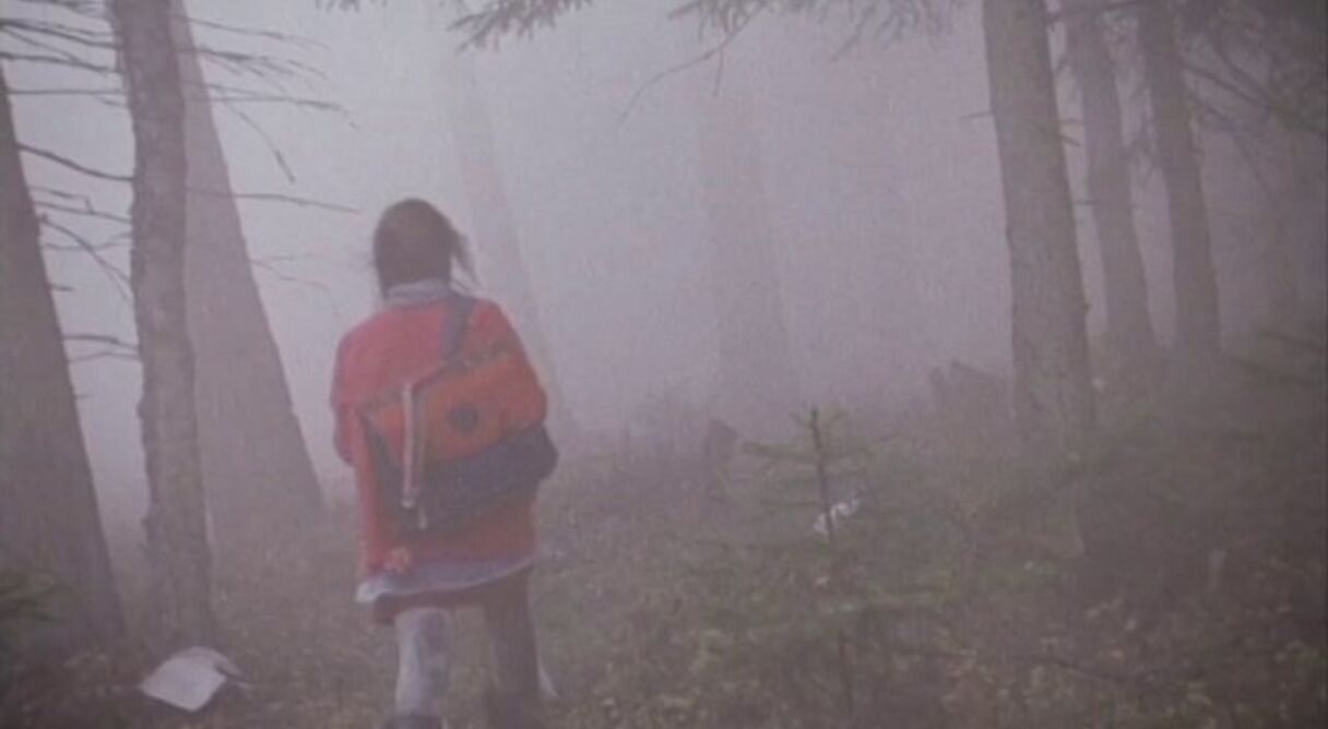 The Girl in the Mist