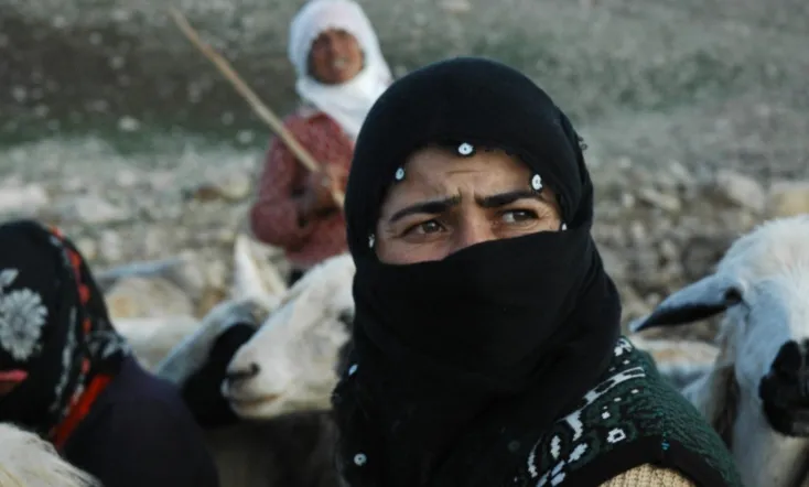 The Last Season: Shawaks