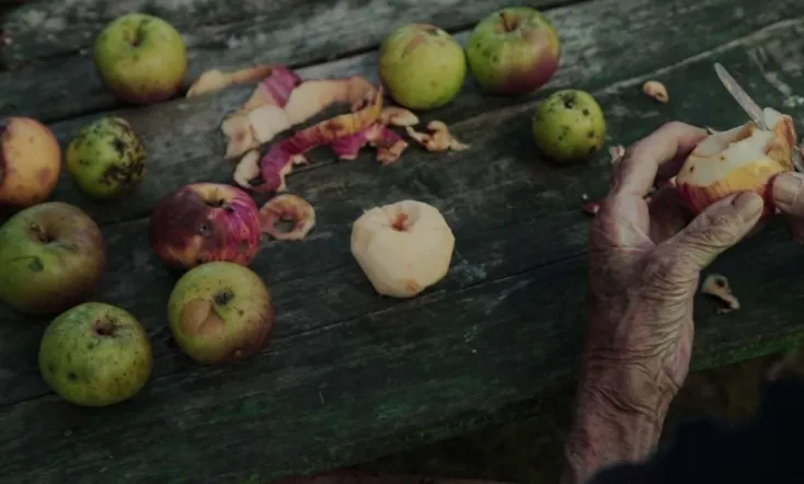 Then Comes the Evening