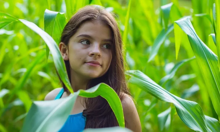 The Awakening of the Ants: Childhood