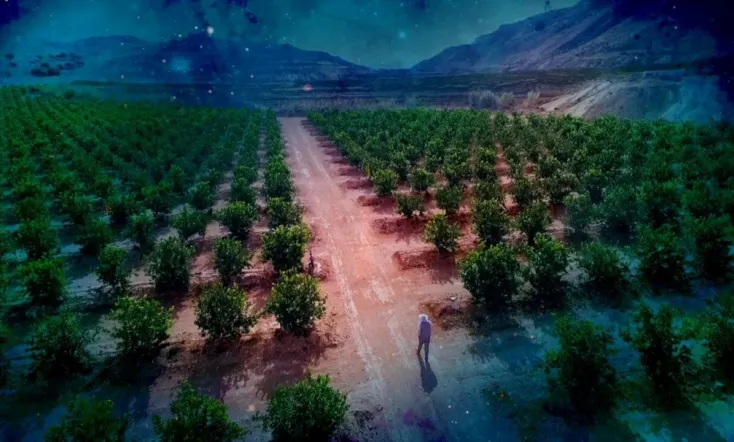 The Murcian Pyramids