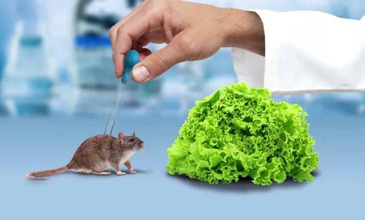 The Weight of Chains 3