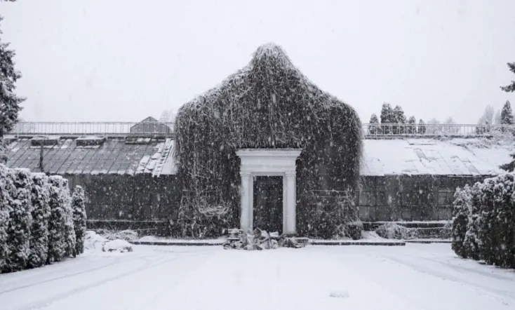 The Winter Garden’s Tale