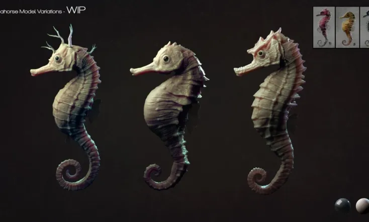 The Seahorse Trainer