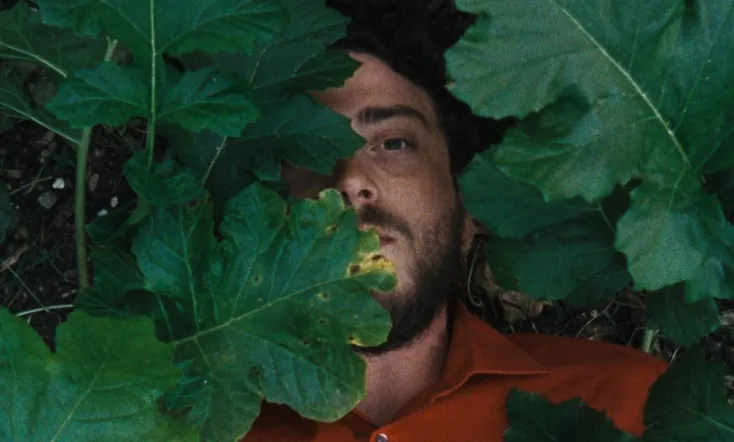 The Metamorphosis of Birds