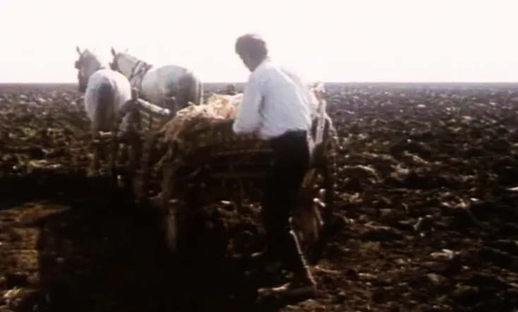 The Death of Djurica the Peasant