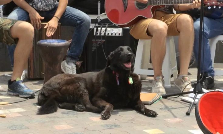 The Unknown Athenians