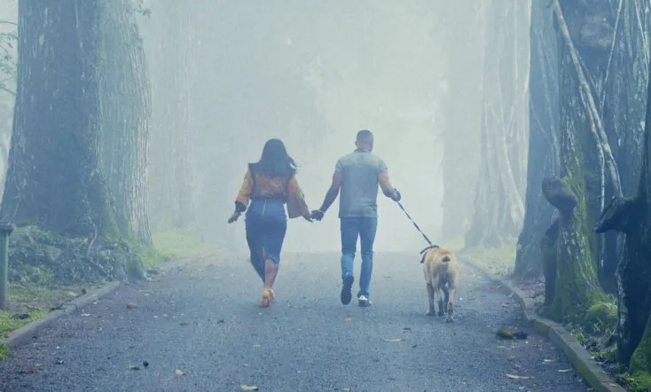 The Perfect Picture: Ten Years Later