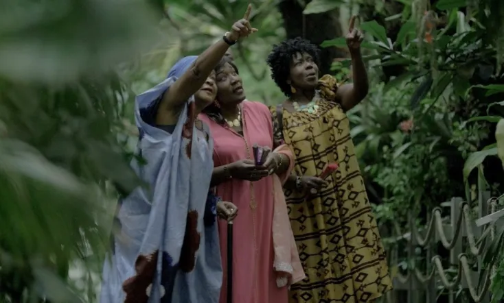 THE INDIGO TREE or the descent of the twins