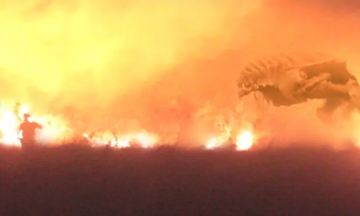 The Barbados Project